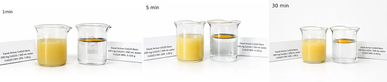 Coenzyme Q10 (CoQ10) Coenzyme Q10 (CoQ10)