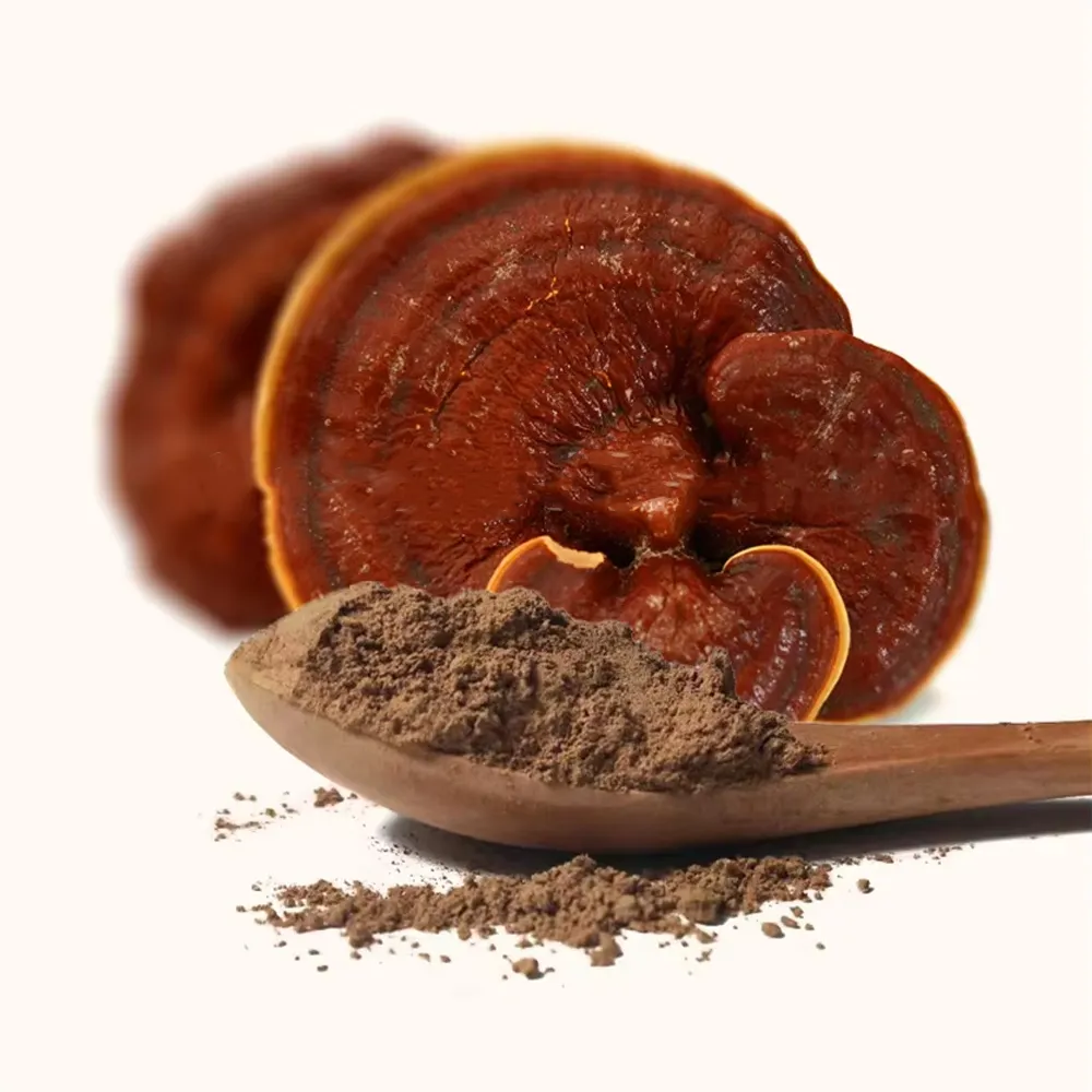 Organic Reishi Extract Powder