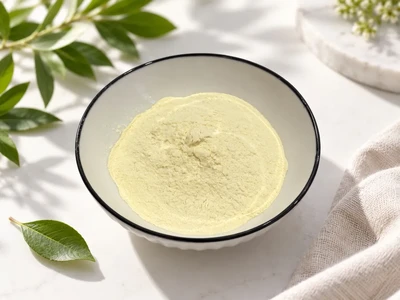 Liposomal NMN: Liposome Technology, NAD+ Response and Formulation Insights
