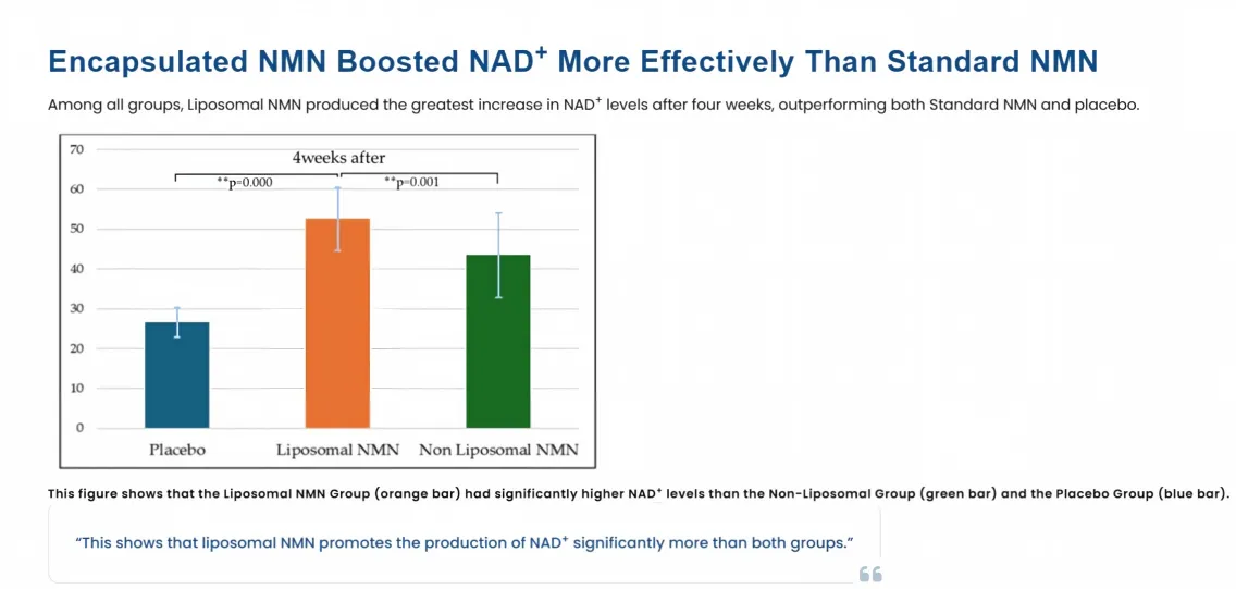 liposomal-nmn-liposome-technology.png liposomal-nmn-liposome-technology.png