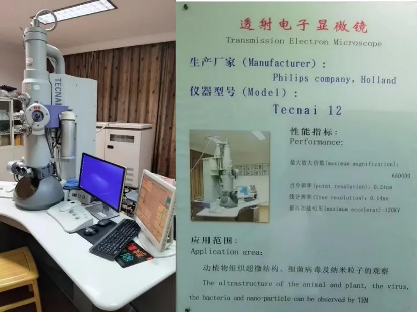 transmisslon electron microscope transmisslon electron microscope