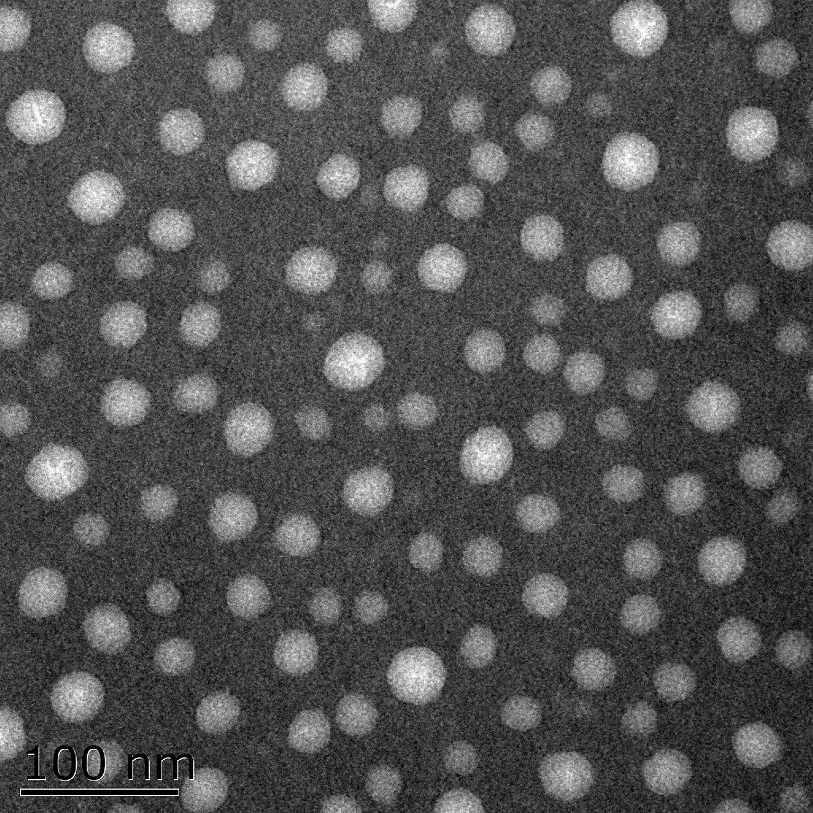 transmission-electron-microscopy-image transmission-electron-microscopy-image