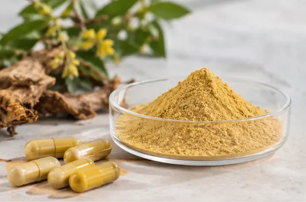 Liposomal Berberine HCl vs. Regular Berberine: What's The Difference?
