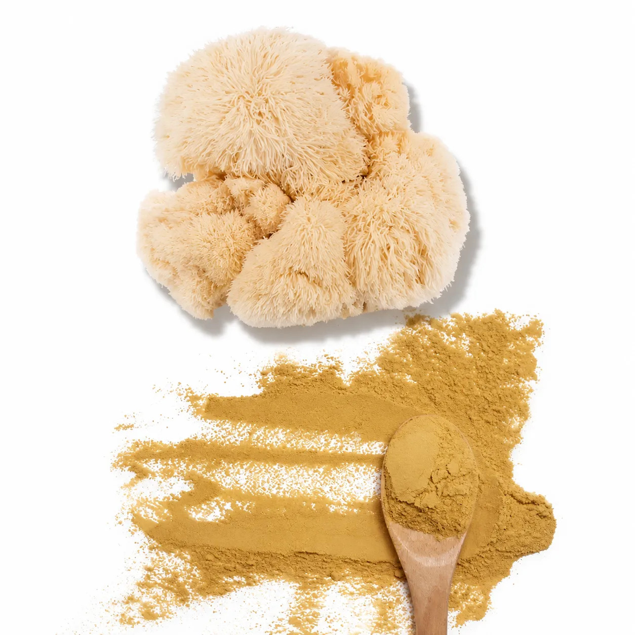 Organic Lion's Mane Extract