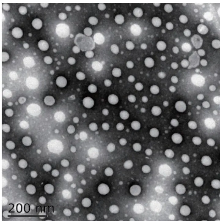 silybin-supplement.png silybin-supplement.png